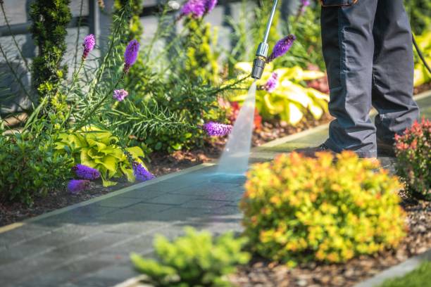 Best Fence Cleaning  in Aquebogue, NY